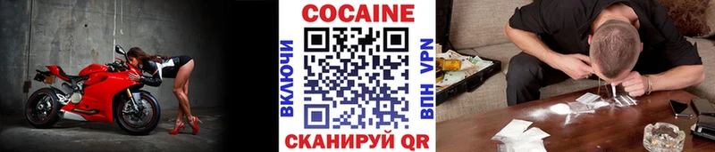 Кокаин Эквадор  kraken сайт  Нижнеудинск 