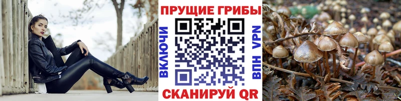 Псилоцибиновые грибы ЛСД  Нижнеудинск 